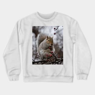 Grey Squirrel Crewneck Sweatshirt